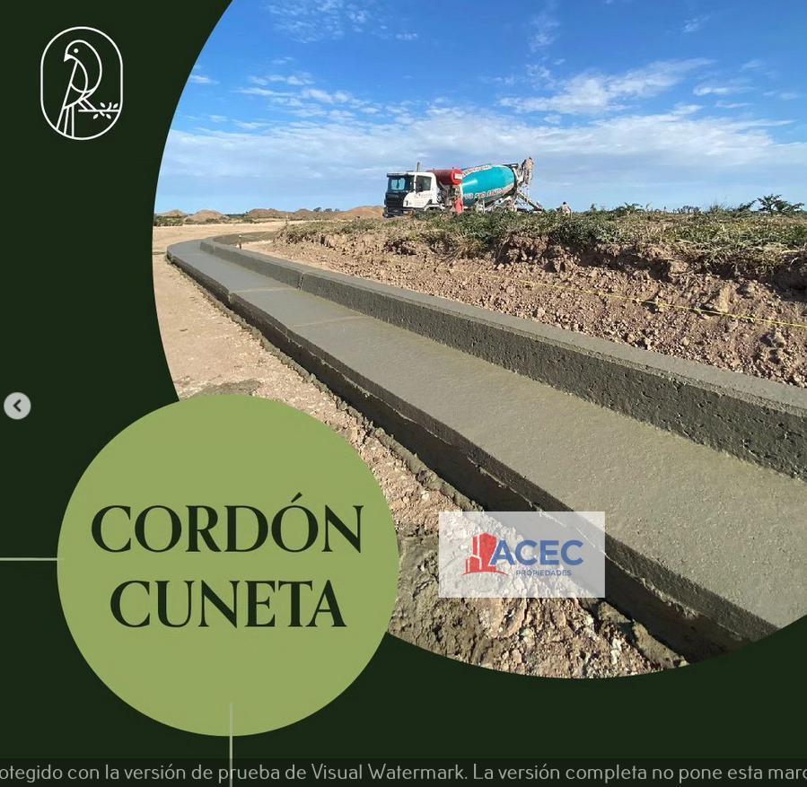 Foto de Venta- Terreno - Piñero -, imagen 3