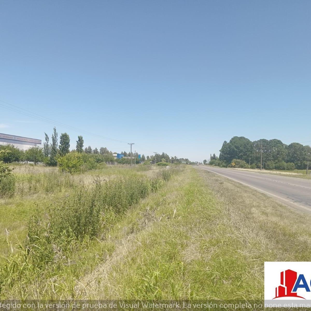 Foto de Venta - Campo- Alvear, imagen 3