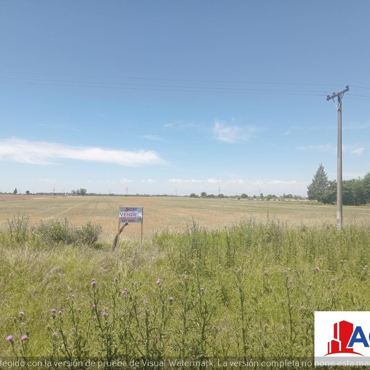 Venta - Campo- Alvear