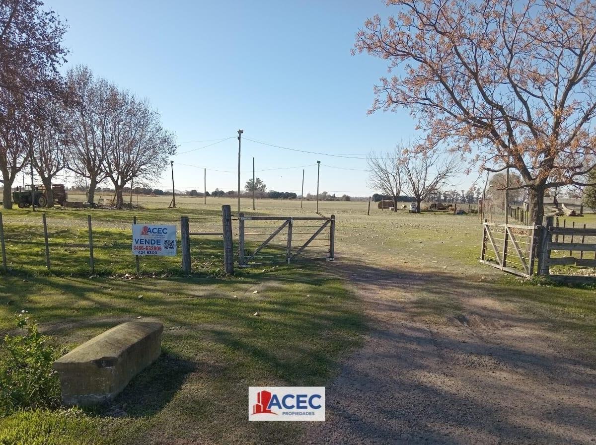 Venta - Terreno - Oliveros