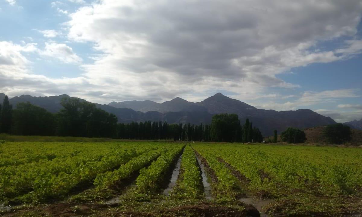 Terreno de 13617 en Uspallata ideal Turismo