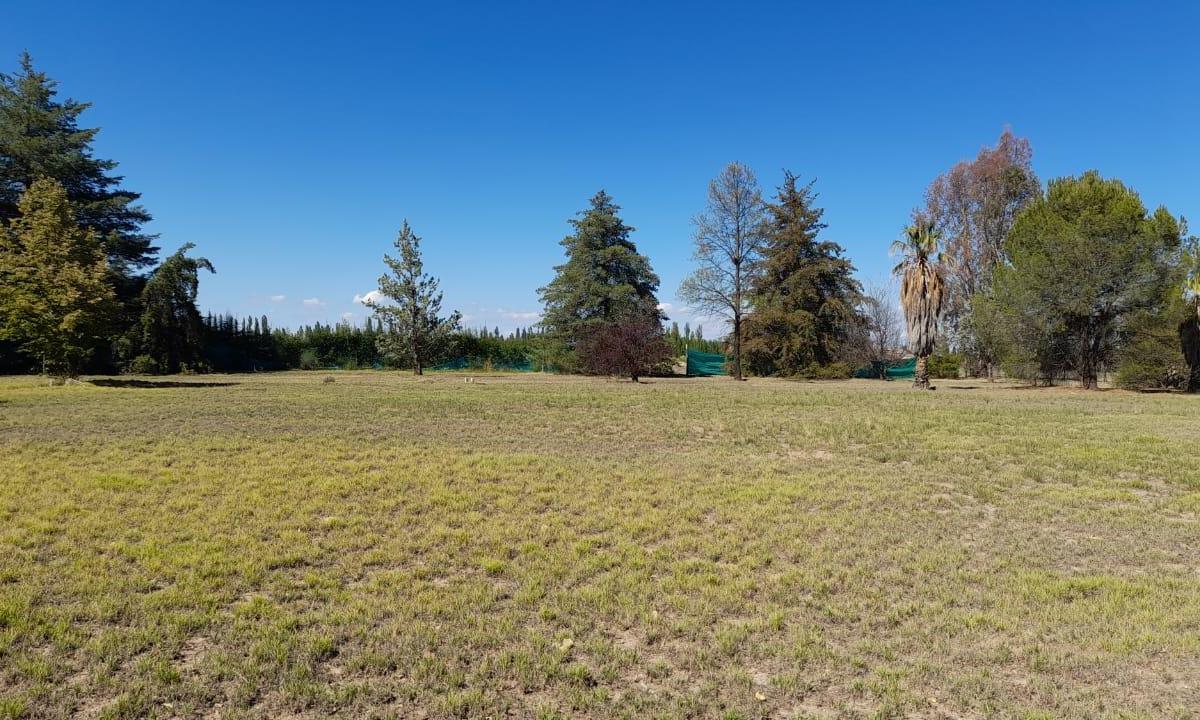 Terreno de 1 Ha en San Rafael 4