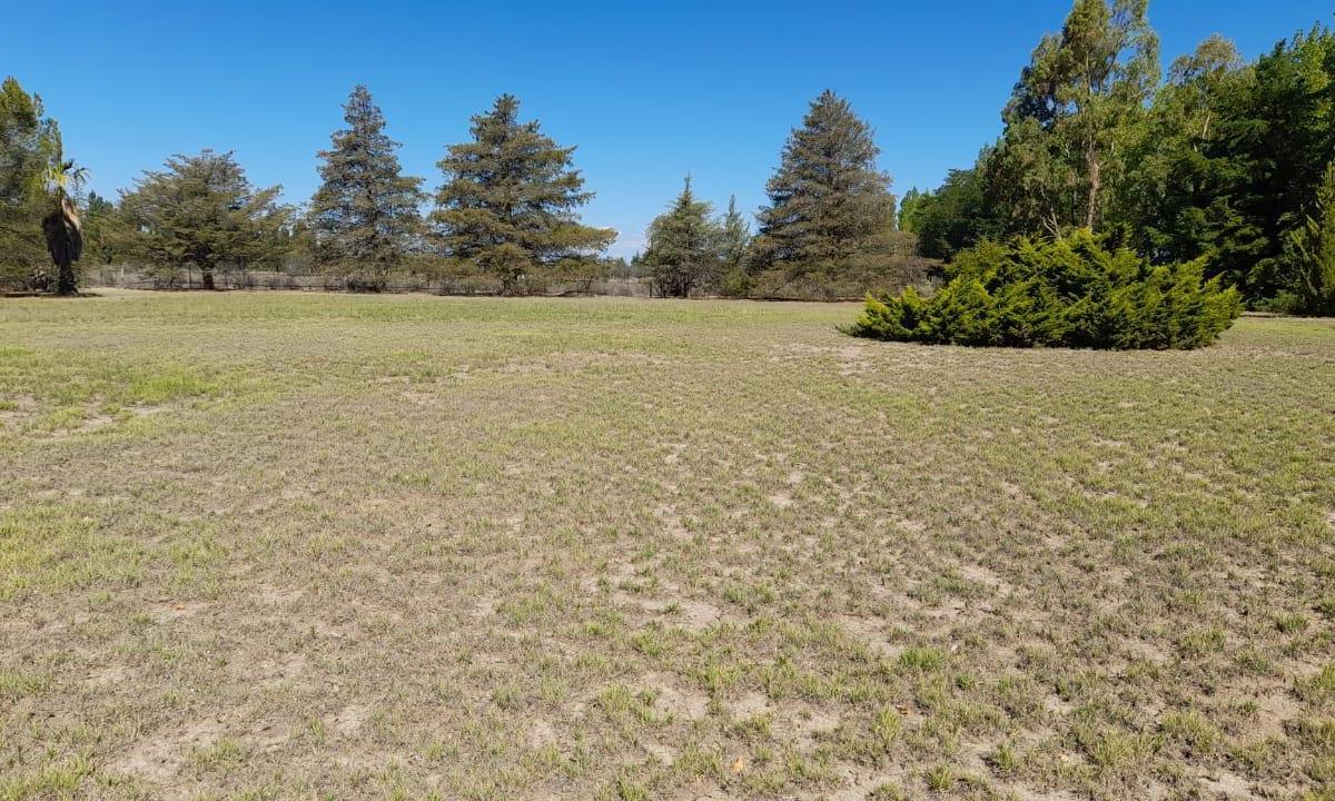 Terreno de 1 Ha en San Rafael 2