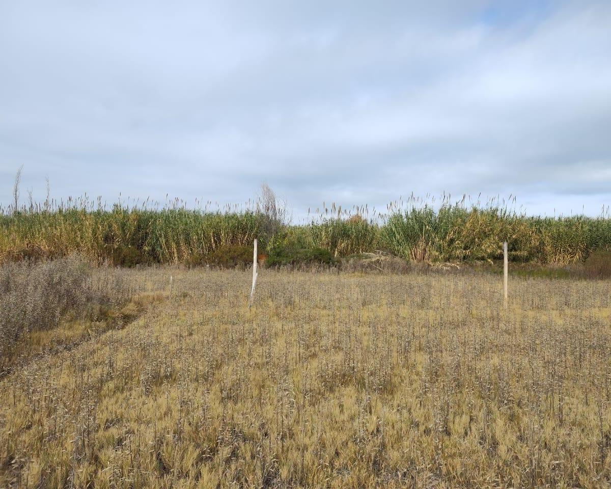 Oportunidad Vendo Terreno de 500 m² en Los Corralitos 1