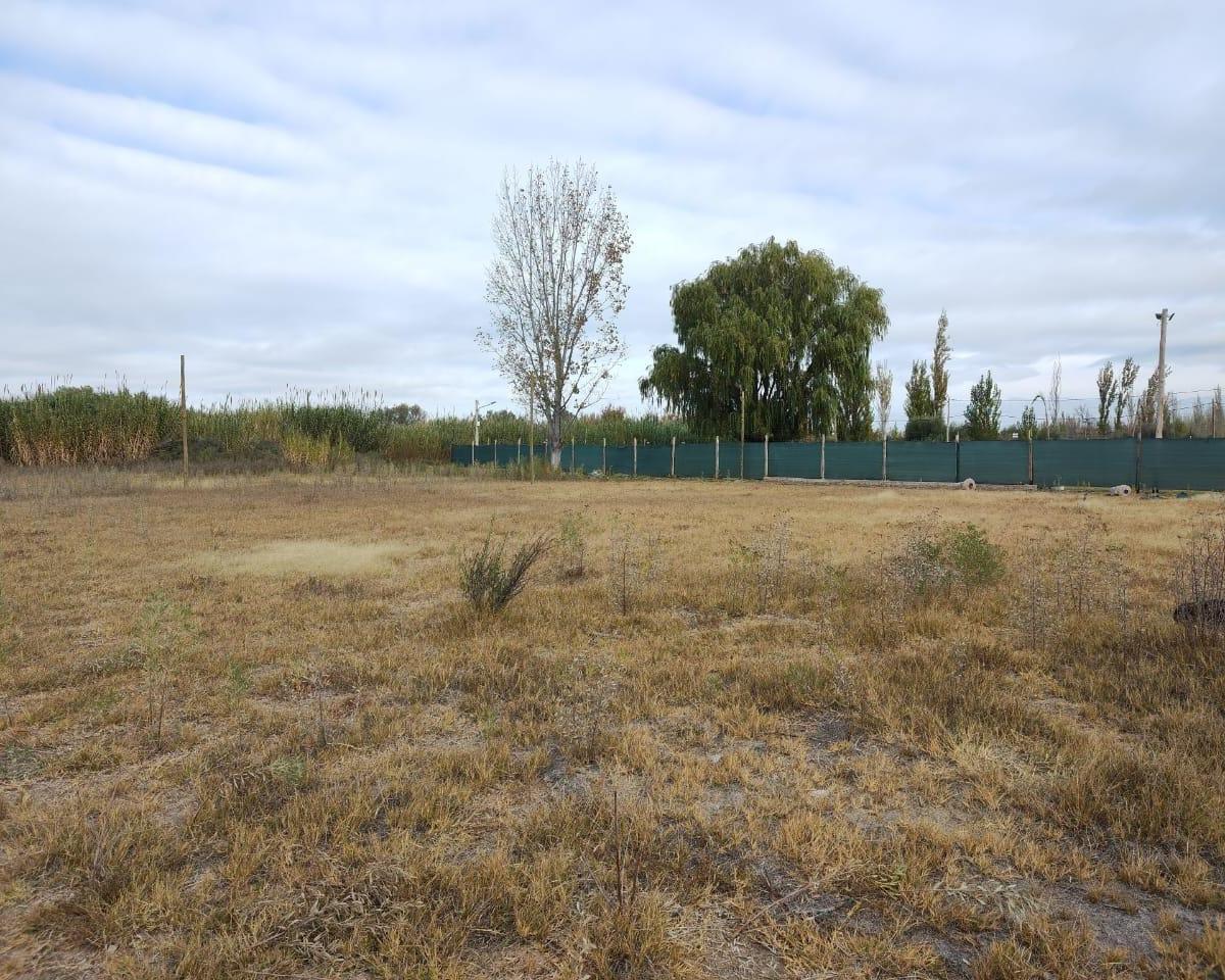 Oportunidad Vendo Terreno de 500 m² en Los Corralitos 5