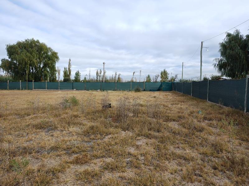 Oportunidad Vende Lotes de 250 m² en Los Corralitos, Guaymallen 2