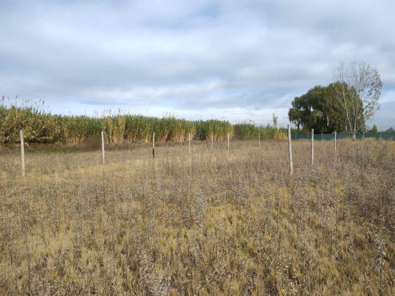 Oportunidad Vende Lotes de 250 m² en Los Corralitos, Guaymallen 1