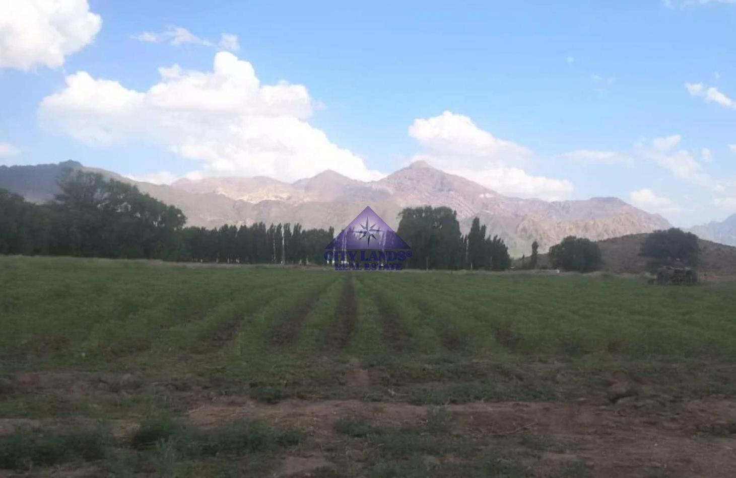 Foto de Terreno en venta de 13.600 m2 en Uspallata, Las Heras, Mendoza, imagen 5