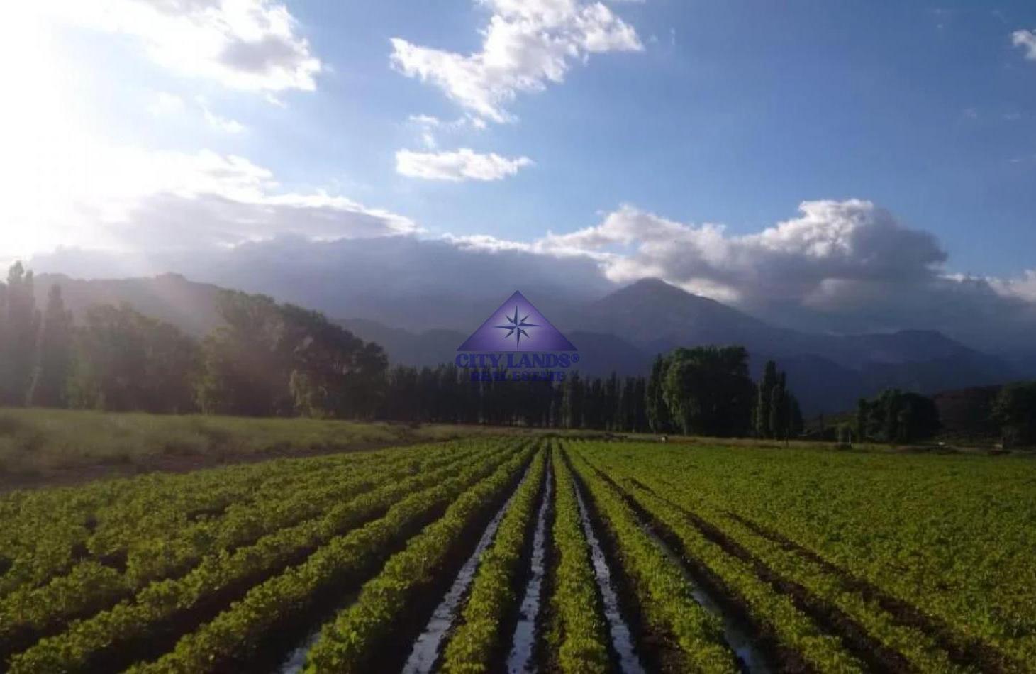Foto de Terreno en venta de 13.600 m2 en Uspallata, Las Heras, Mendoza, imagen 1
