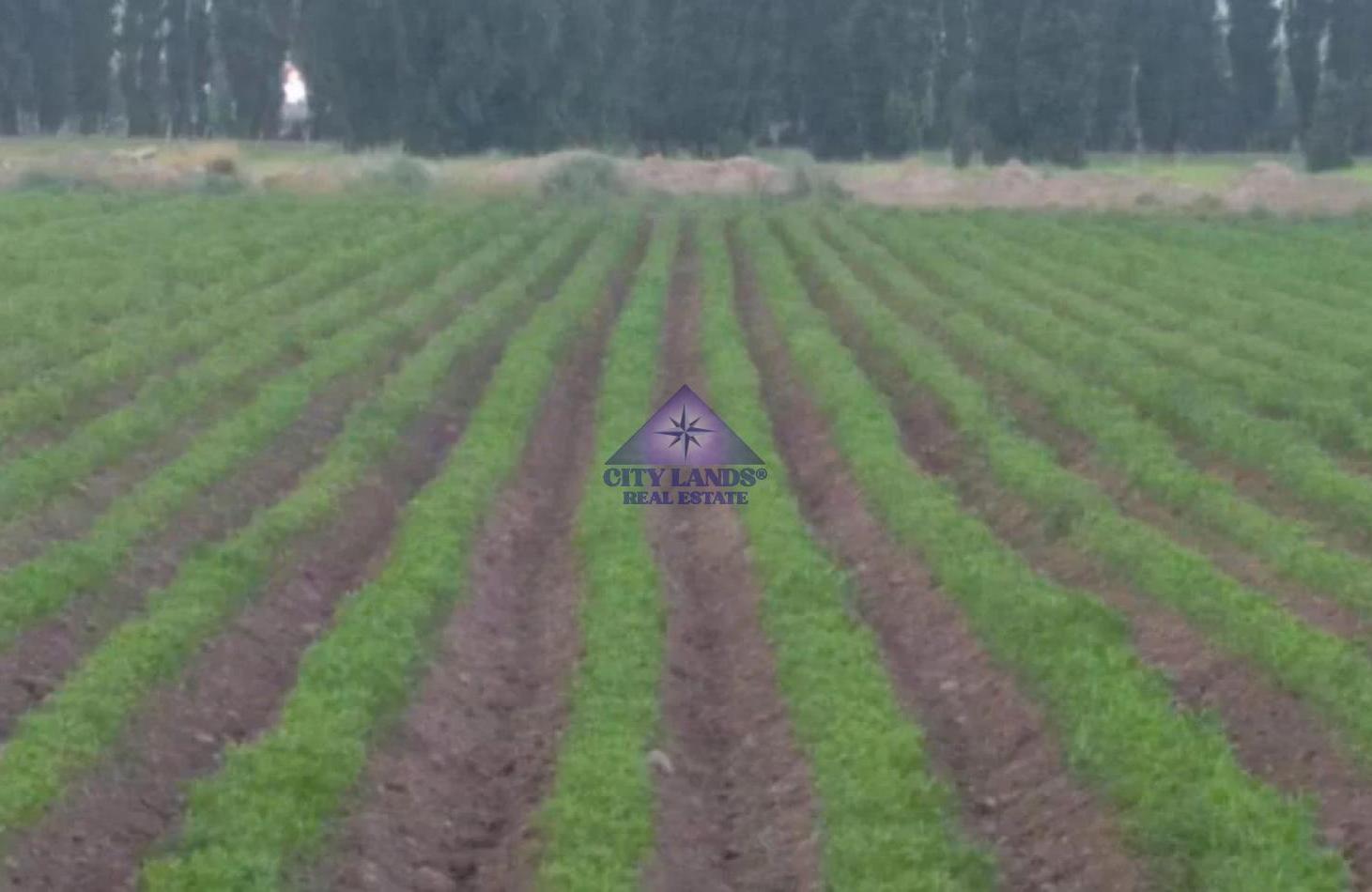 Foto de Terreno en venta de 13.600 m2 en Uspallata, Las Heras, Mendoza, imagen 3