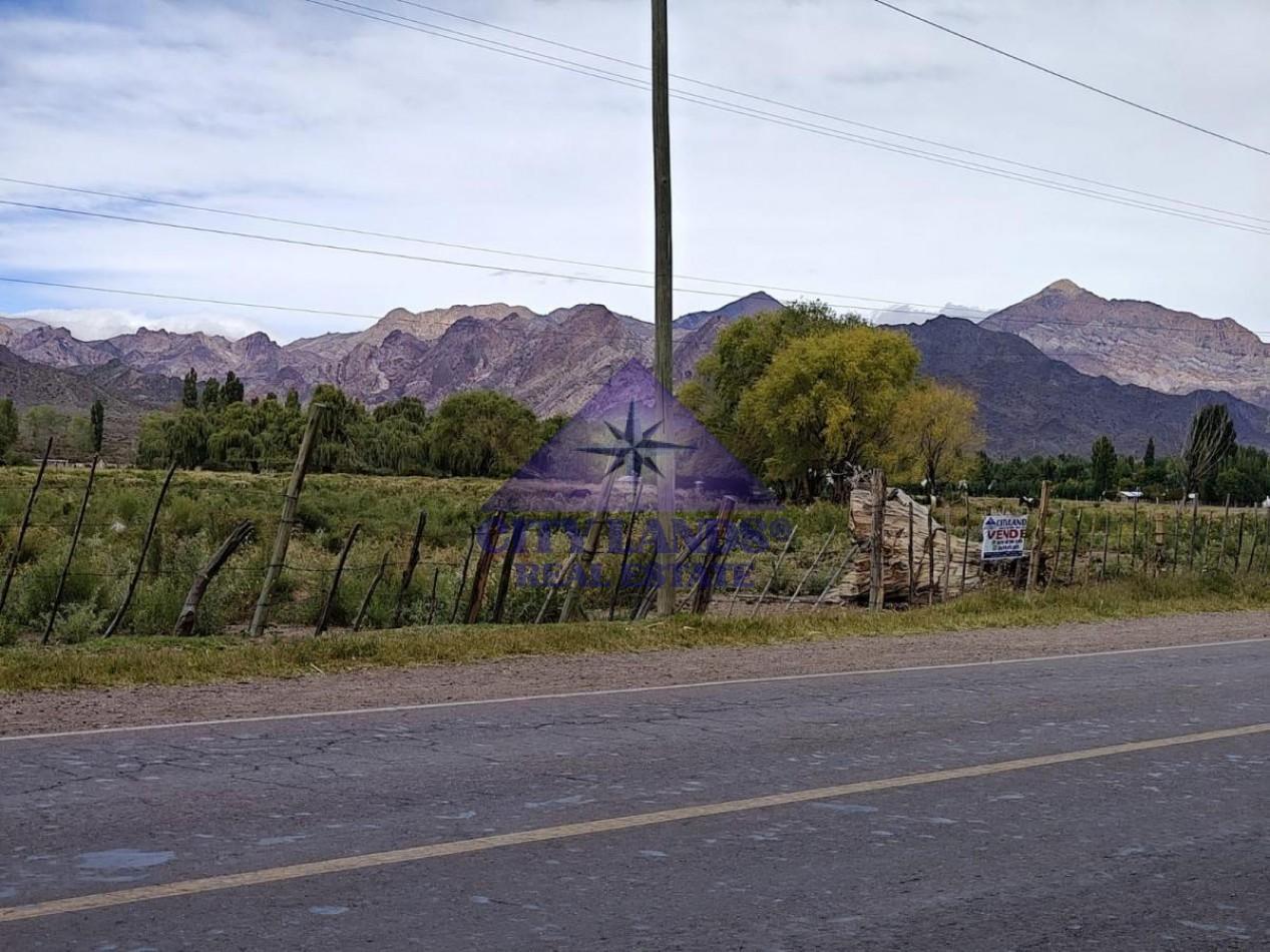 Foto de Terreno en venta de 17.800 m2 en Uspallata, Las Heras, Mendoza, imagen 4