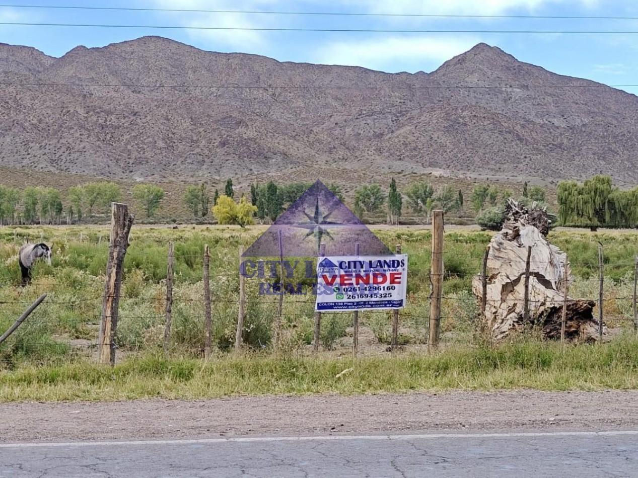 Foto de Terreno en venta de 17.800 m2 en Uspallata, Las Heras, Mendoza, imagen 2