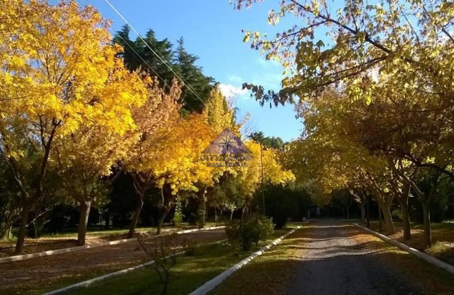 Foto de Lotes en venta en Club de Campo Maipu, Mendoza, imagen 1