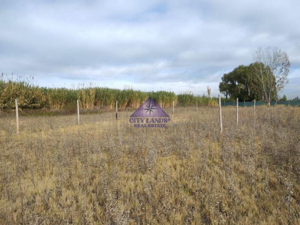 Foto de Lote en venta de 500 m2 en Los Corralitos, Guaymallen, Mendoza, imagen 2