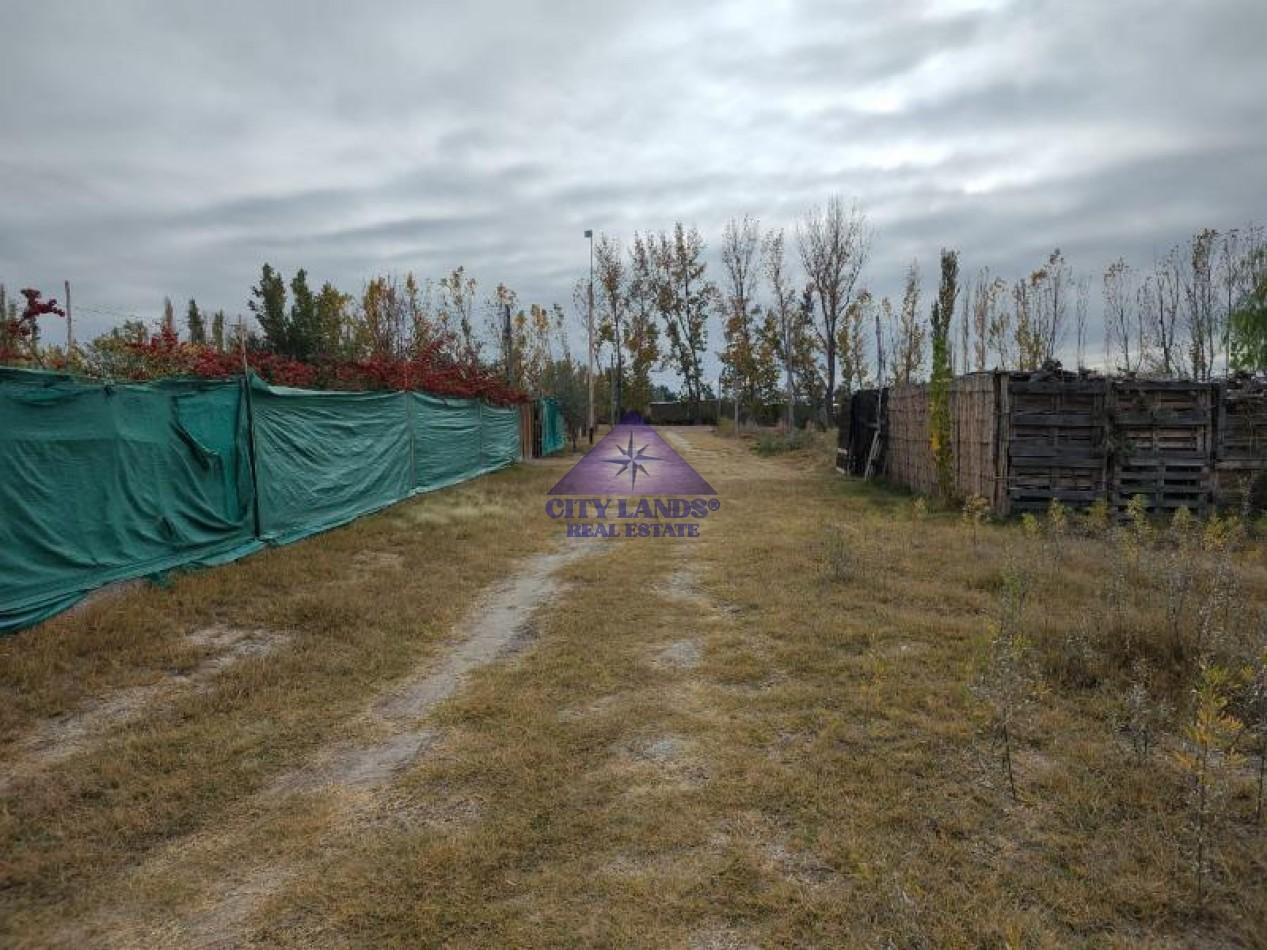 Foto de Lote en venta de 500 m2 en Los Corralitos, Guaymallen, Mendoza, imagen 3
