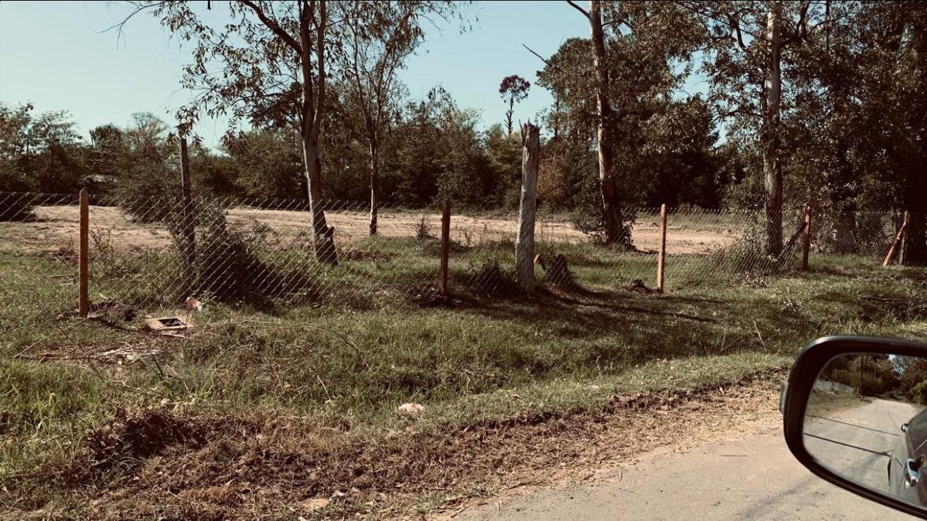 Foto de Lote de 15.000 m2 - La Bota, imagen 5