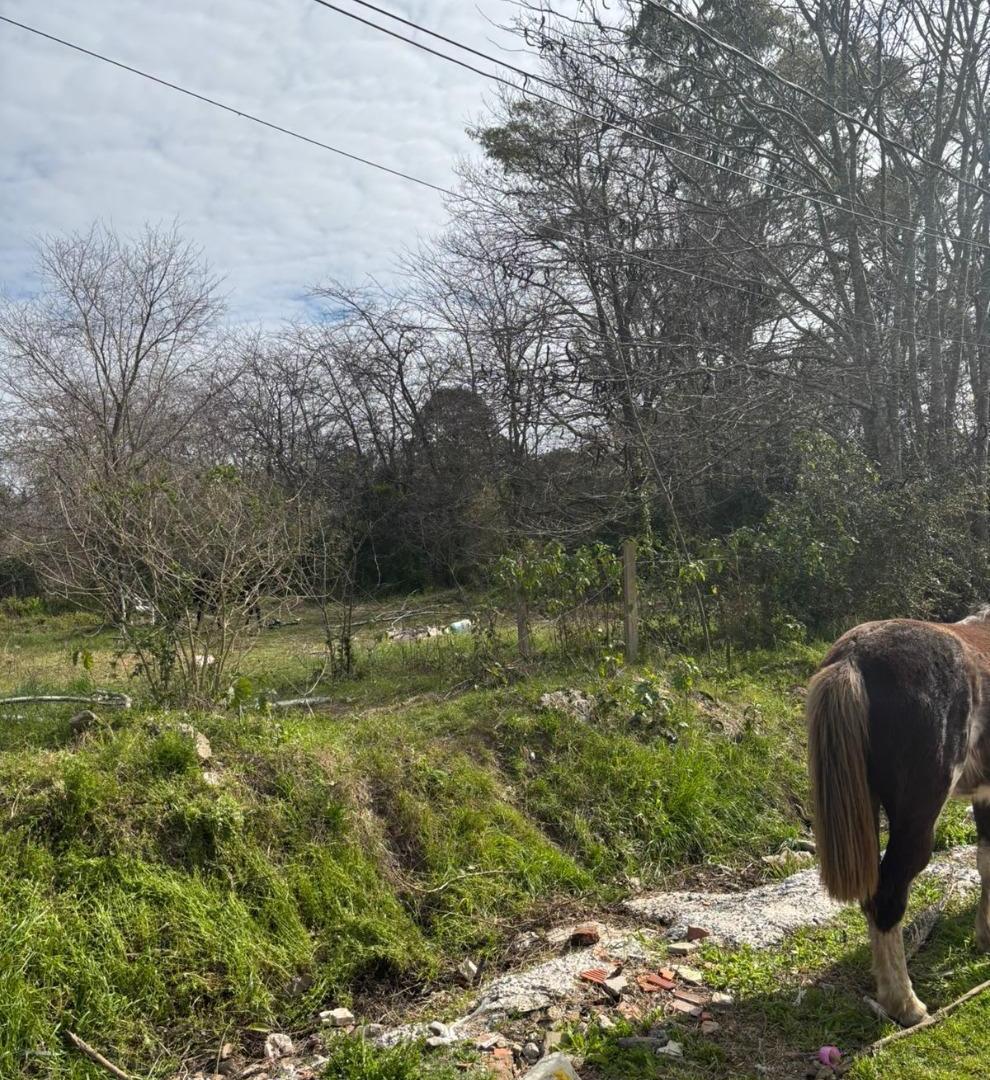 Foto de Lote de 15.000 m2 - La Bota, imagen 1
