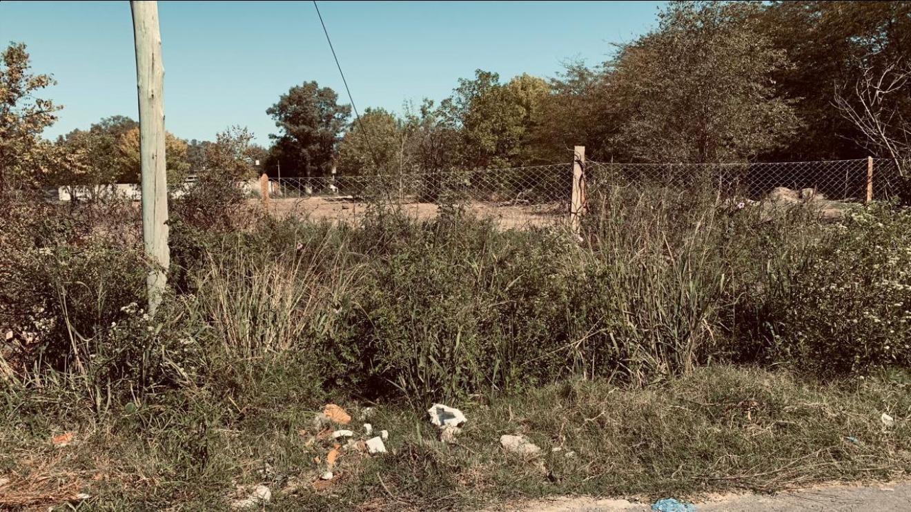 Foto de Lote de 5.000 m2 - La Bota, imagen 1