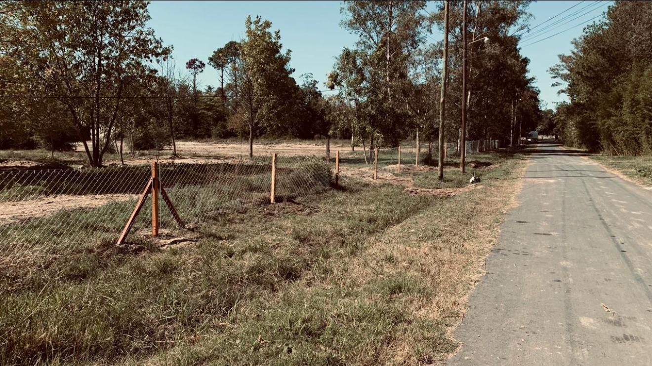 Foto de Lote de 5.000 m2 - La Bota, imagen 4