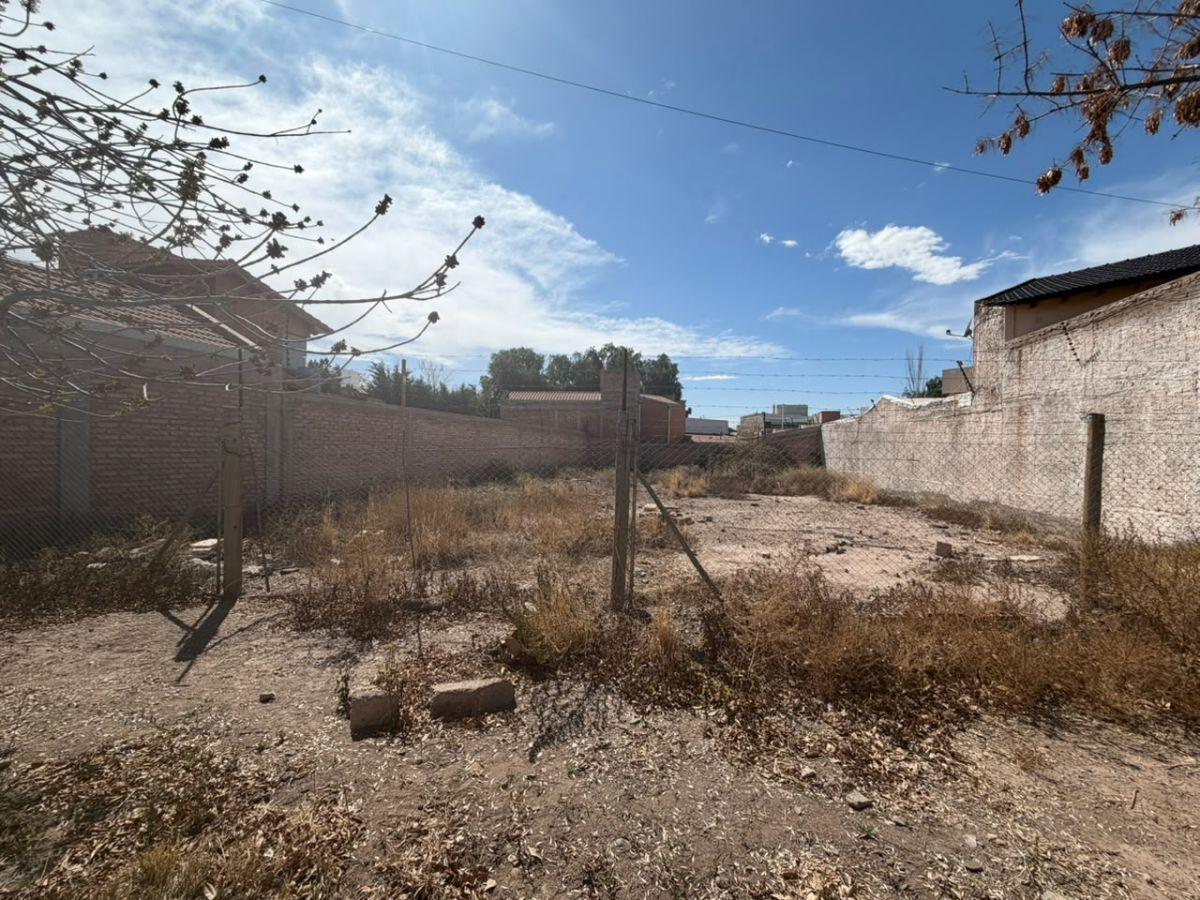 Foto de Vendemos espectacular terreno en Loteo Bartolini, ideal para desarrollo, imagen 5
