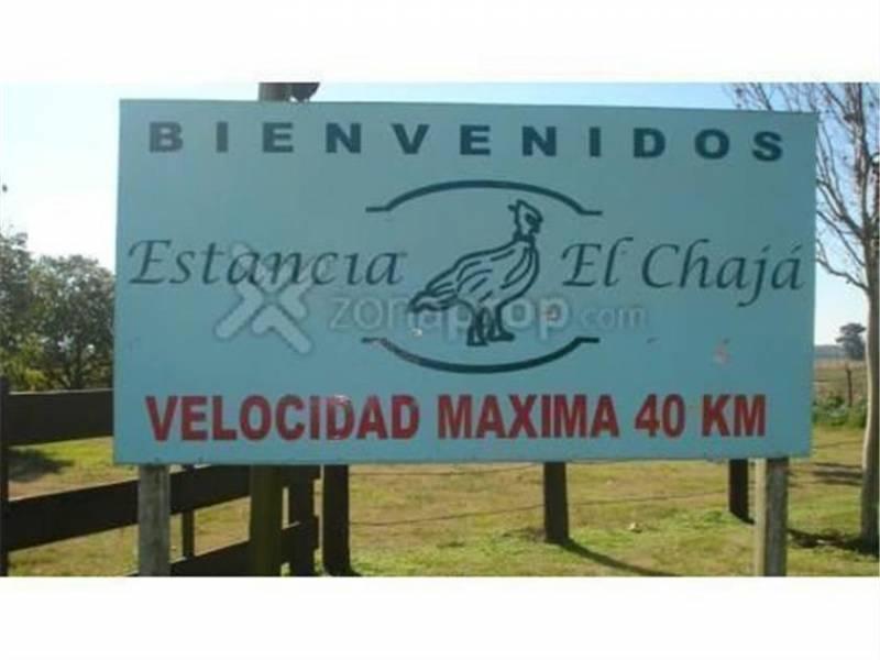 Foto de EXCELENTE CASA SOBRE CHACRA DE 5 Has en el Chaja, imagen 4