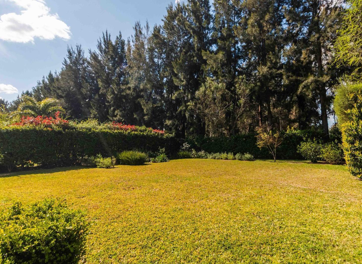 Foto de Impecable casa en venta, imagen 4