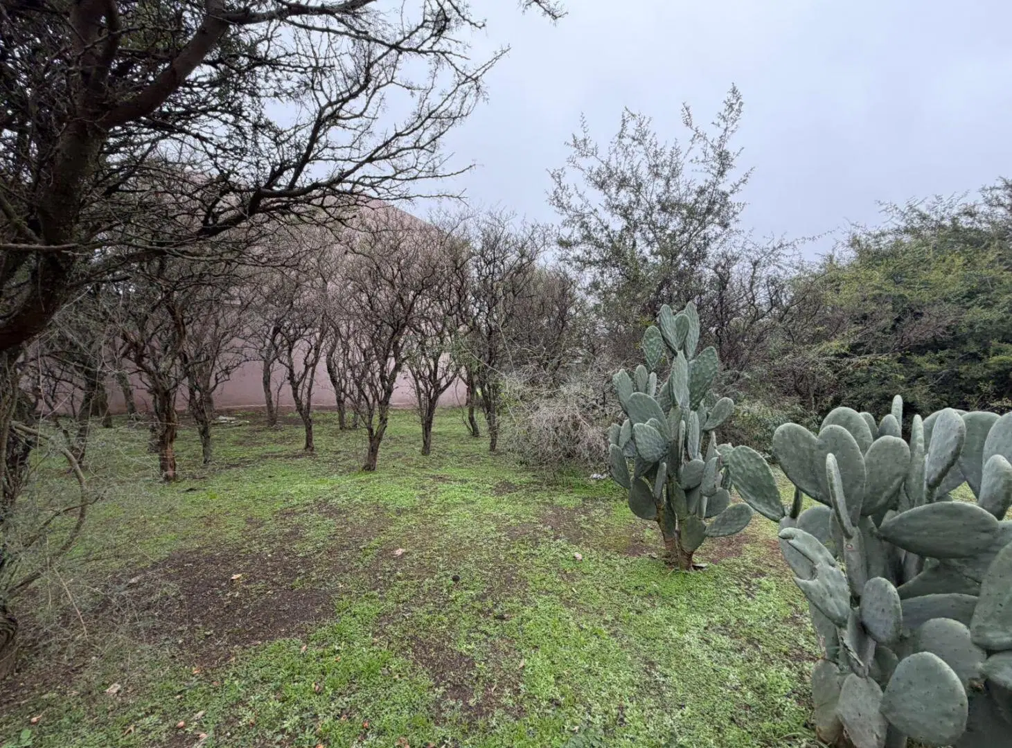 LOTE EN OPORTUNIDAD EN LAS CAÑITAS MALAGUEÑO 1