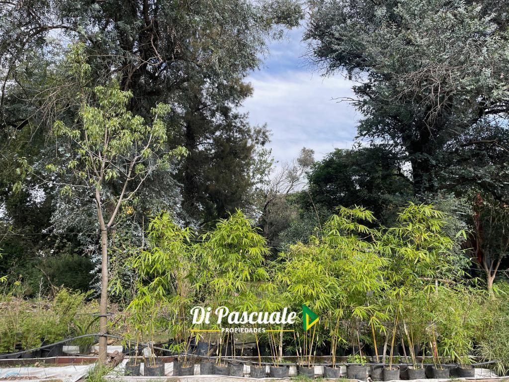 Quinta en Moreno Sobre 8 Lotes - 2.736 m Cuadrados 1
