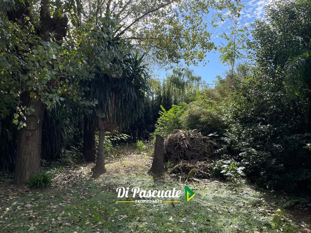Quinta en Moreno Sobre 8 Lotes - 2.736 m Cuadrados 4