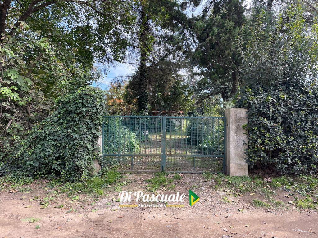 Quinta en Moreno Sobre 8 Lotes - 2.736 m Cuadrados 5