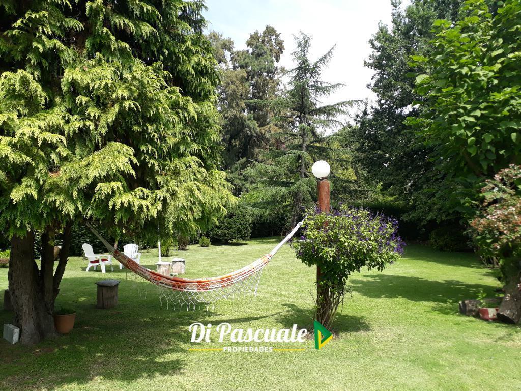 Venta Chalet en 2 Plantas con Excelente Ubicación - Moreno Norte 5