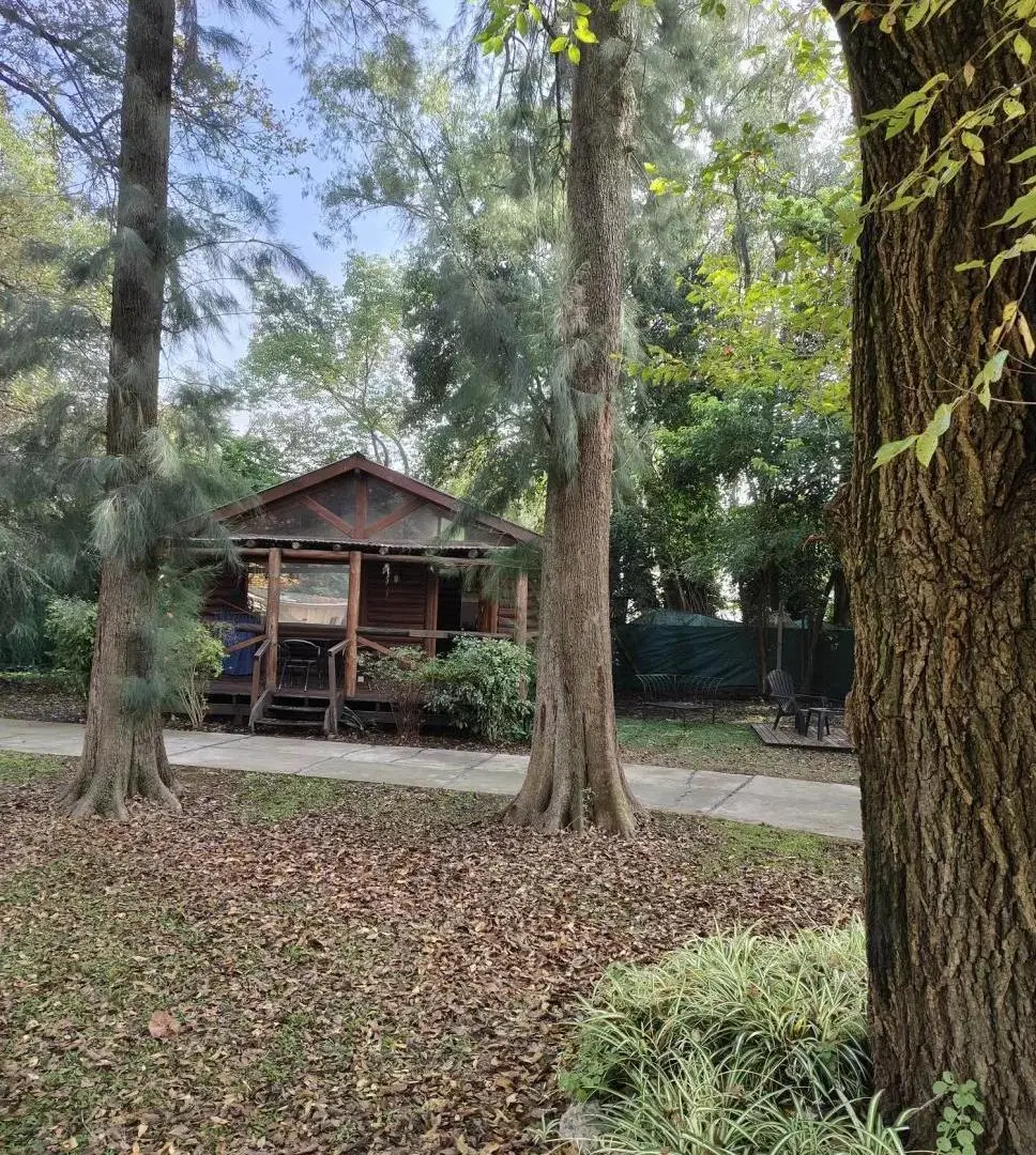Cabaña en alquiler permanente con o sin muebles 5