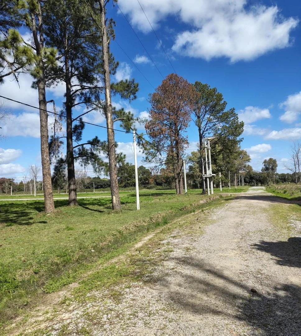 Foto de Loteo Barrancas del Sol, imagen 3