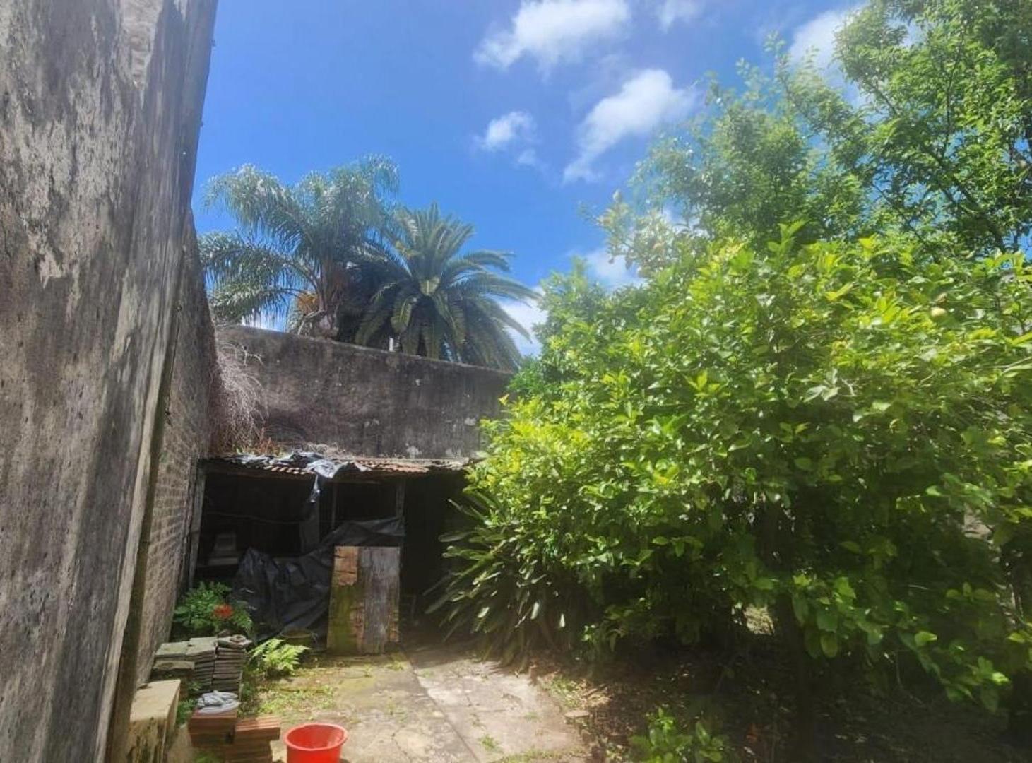 Foto de Venta lote Saavedra, imagen 3
