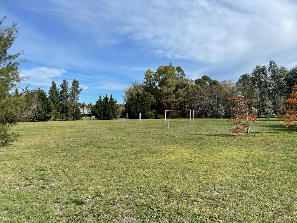 Campo de Roca 1
