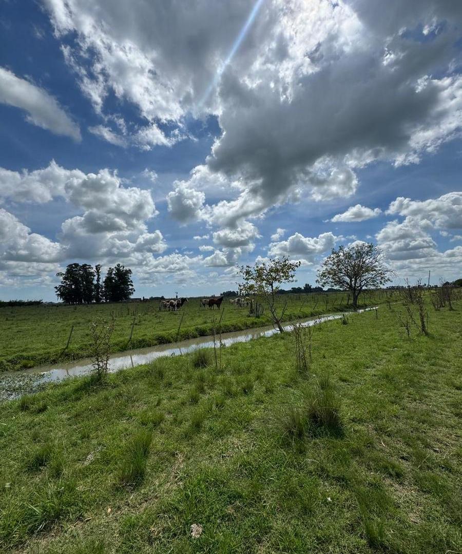 Campo en venta de 50 hectareas en florencio varela RUTA 53 Y RUTA 6