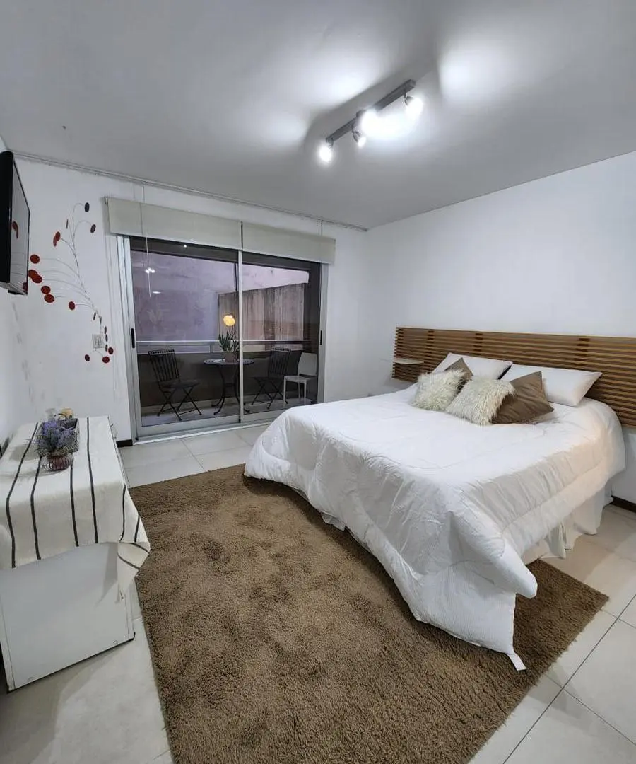Amplio monoambiente 50 m2 totales con balcón en Recoleta 5