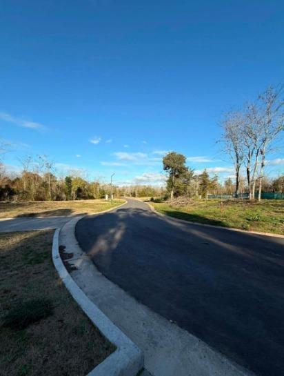 Foto de OPORTUNIDAD LOTE INTERNO 650M2, imagen 3