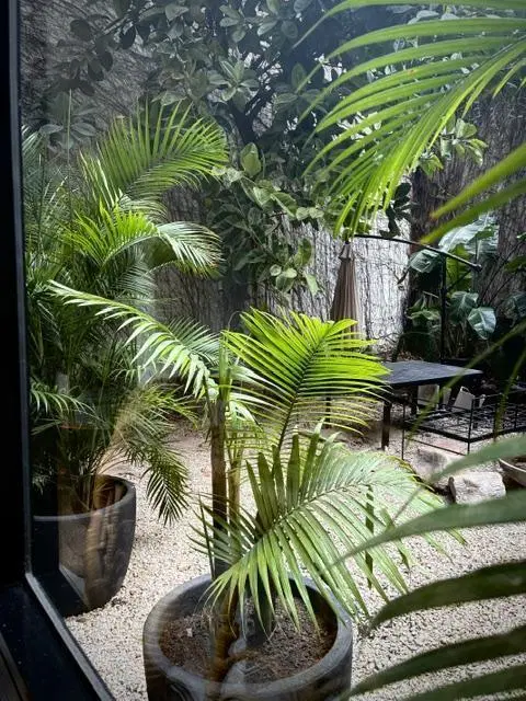 Lindisima Planta Baja con jardin  en Palermo Chico 5