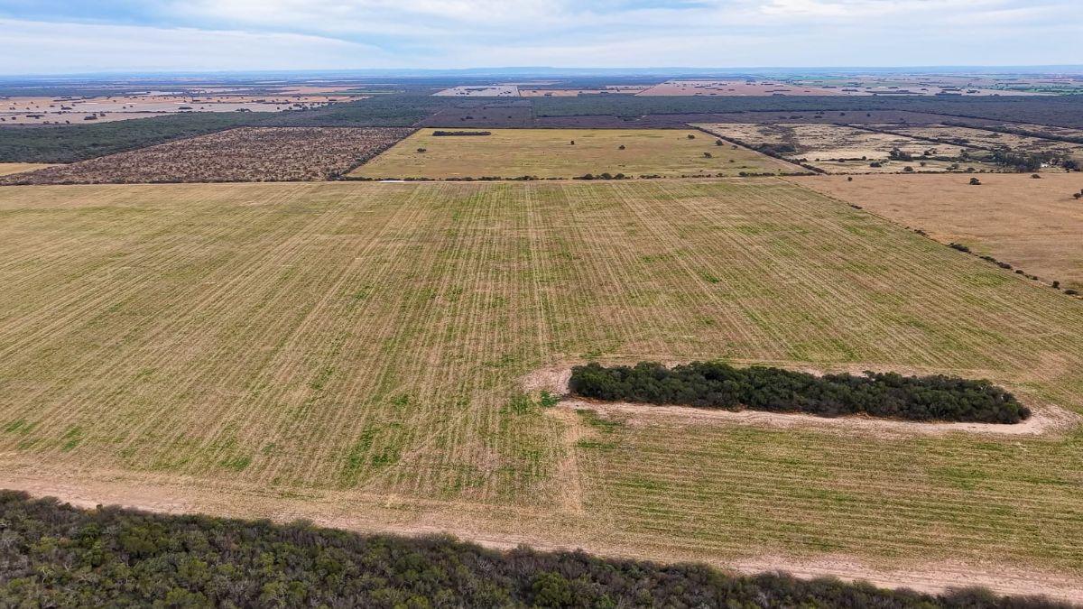 Foto de Excelente campó mixto en el norte de Córdoba, imagen 1