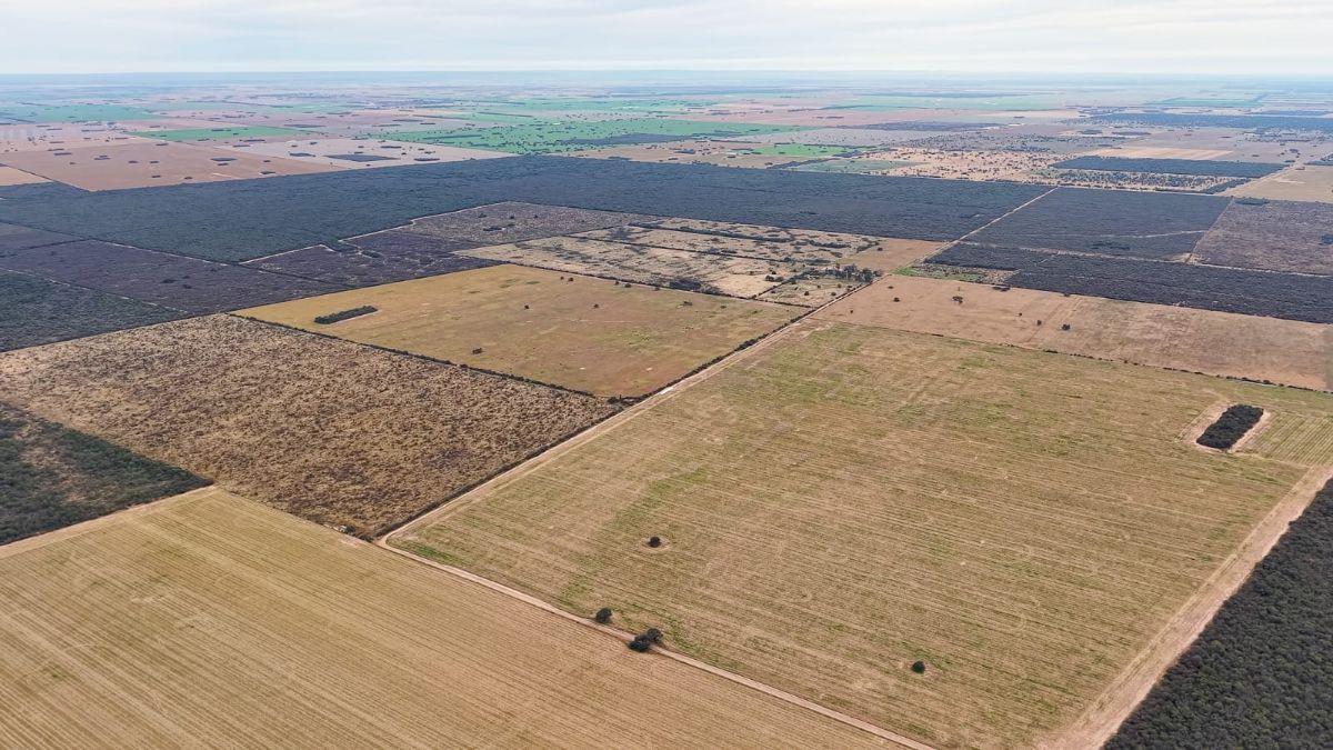 Foto de Excelente campó mixto en el norte de Córdoba, imagen 4