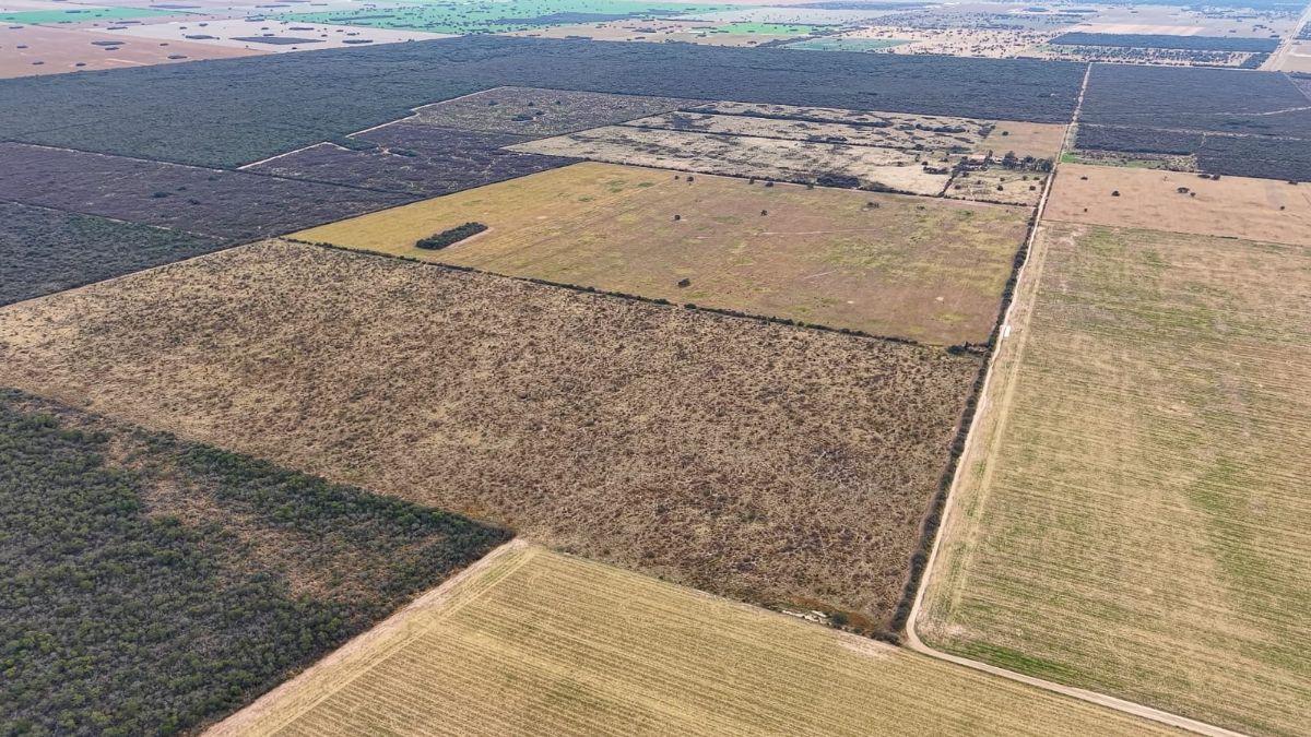Foto de Excelente campó mixto en el norte de Córdoba, imagen 3