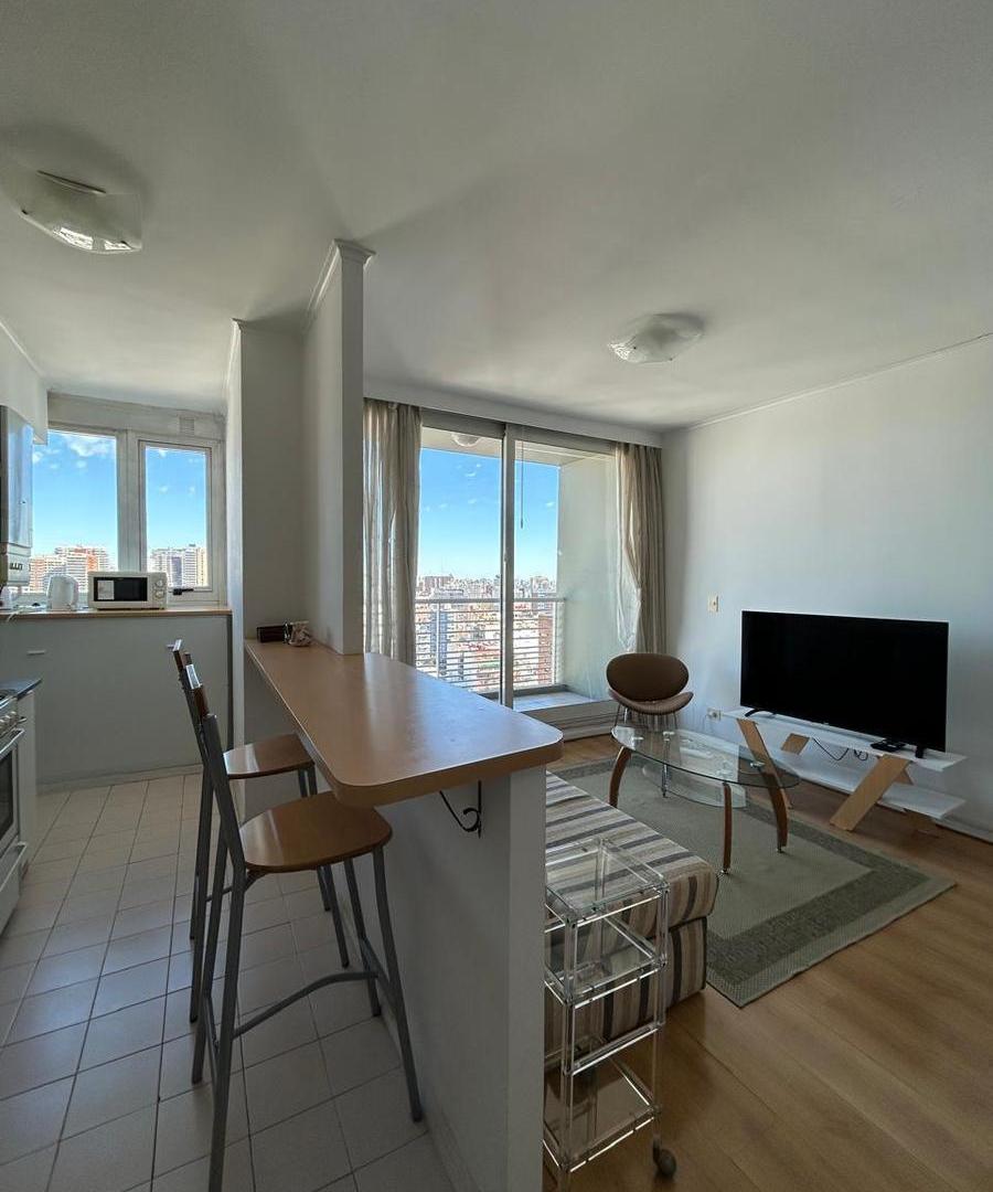 Foto de Exclusivo 3 Ambientes Amoblado en Piso 23 | Torres Las Plazas - Palermo, imagen 4