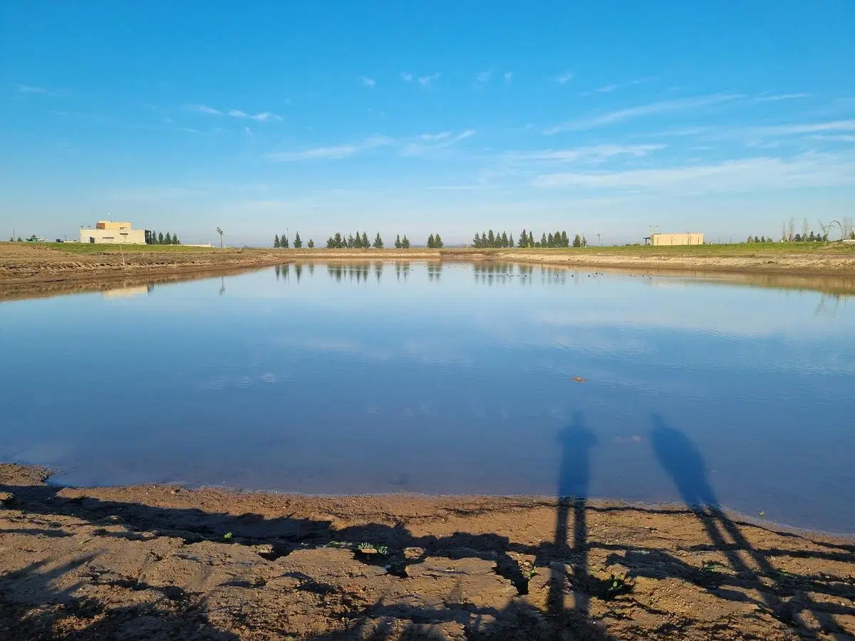 Ruta 2 Km 76 Lote En Venta, La Faustina 7