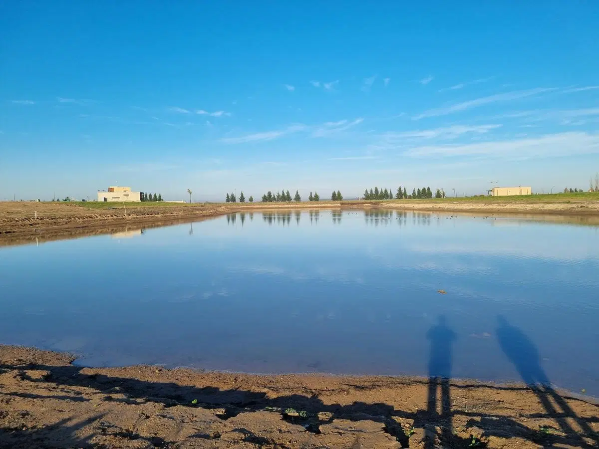 Ruta 2 Km 76 Lote En Venta, La Faustina 1