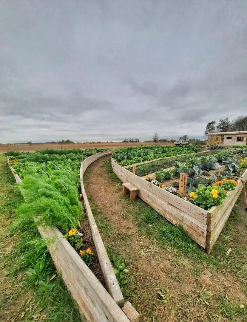 Terreno en Barrio Privado de Laguna de las Pampas 2