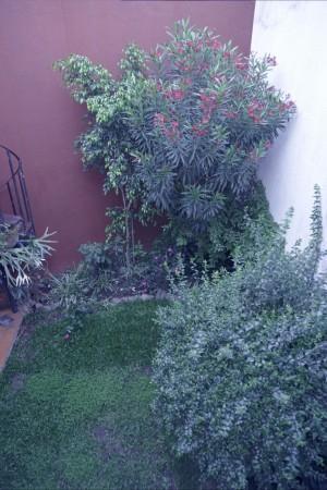 Hermosa Casa 5 Amb con Jardin en Parque Chacabuco 3