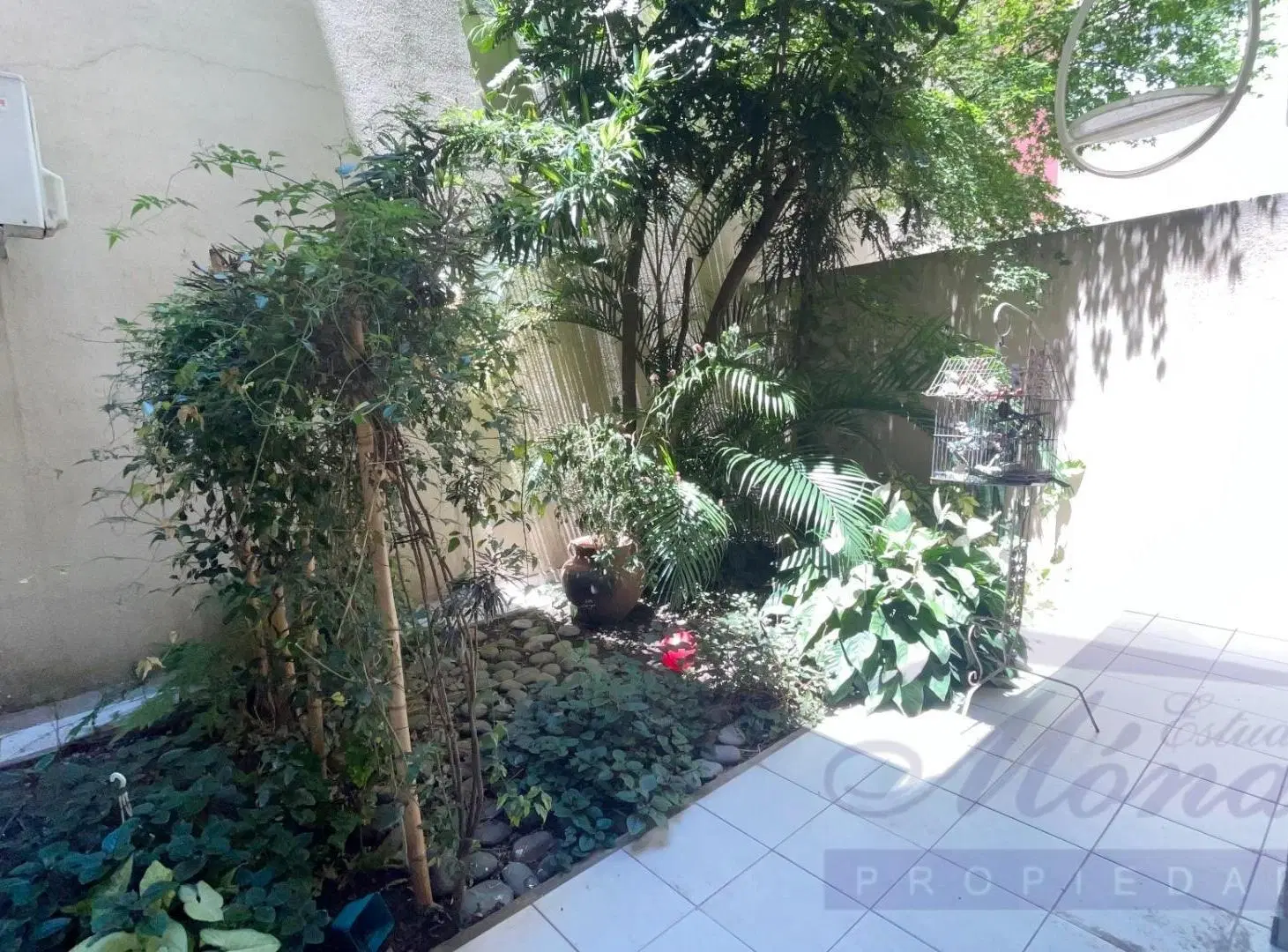 Hermoso 2 amb con jardín propio! 5