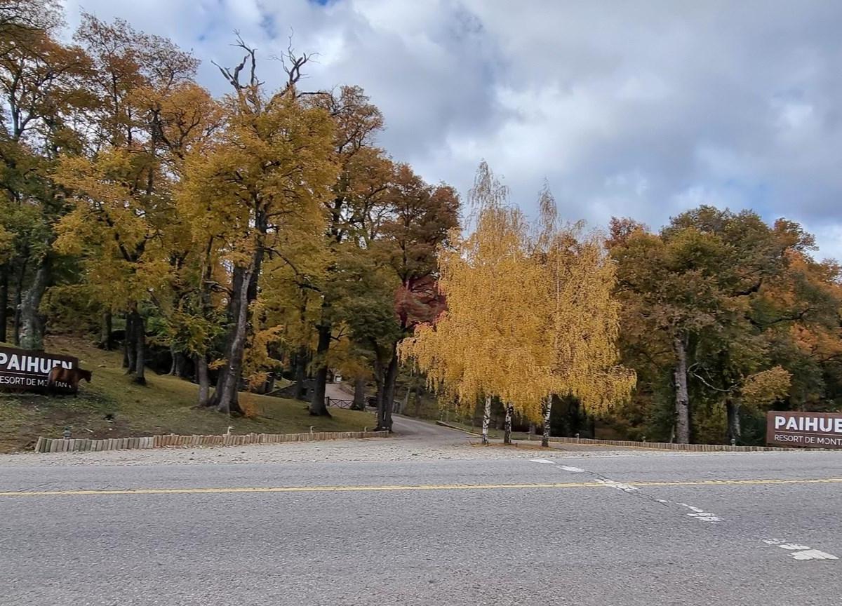 Casa en Venta en Centro, San Martin de Los Andes, Patagonia 1