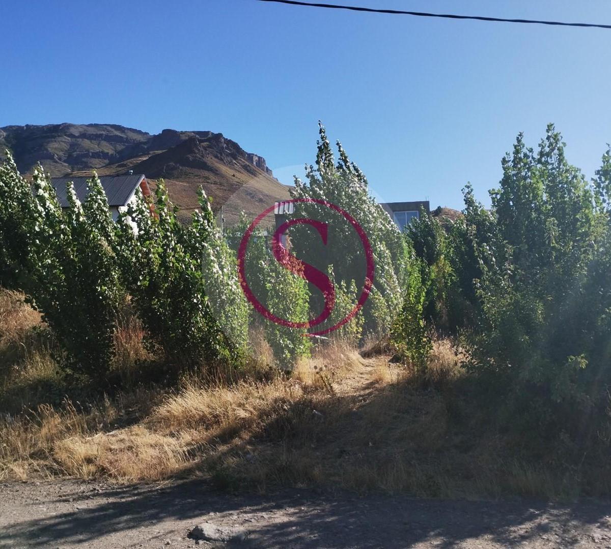 Foto de Lote en Venta en San Martin de los Andes, Patagonia, imagen 3